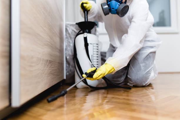 Best Pest Removal Services  in Converse, TX