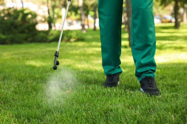 Best Exterminator Services  in Converse, TX