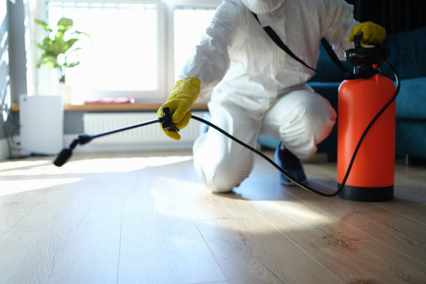 Professional Pest Control in Converse, TX