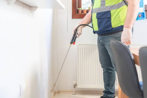 Best Pest Prevention Services  in Converse, TX