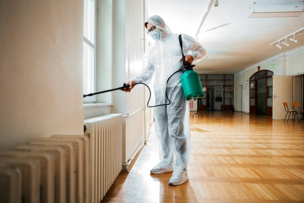 Best Affordable Pest Control Services  in Converse, TX