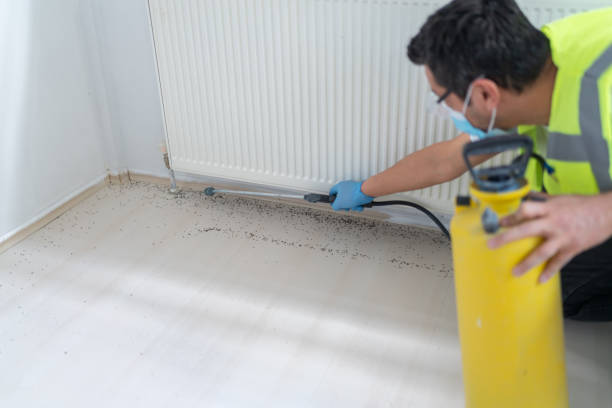 Best Best Pest Control Companies  in Converse, TX